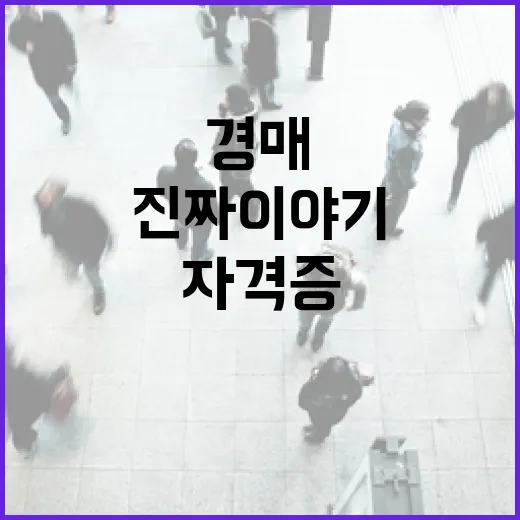 경매자격증 따면 낙찰이 쉬워질까, 현장에서 직접 부딪혀본 진짜 이야기 - 요약