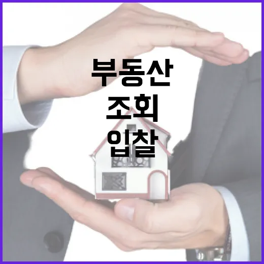부동산시세조회만 믿고 입찰했다가 식은땀 난 이야기 - 요약