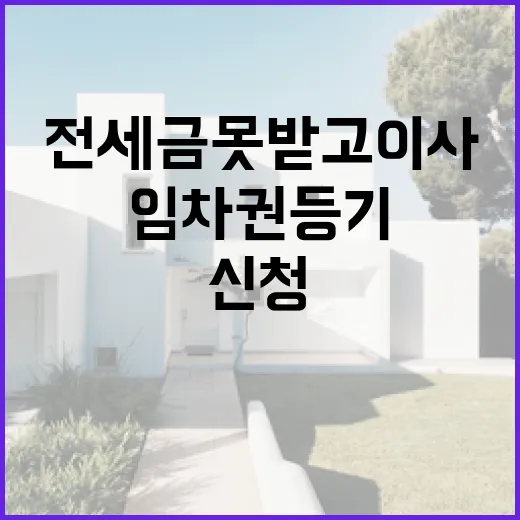 전세금 못 받고 이사해야 해서 임차권등기신청까지 직접 해본 이야기 - 요약