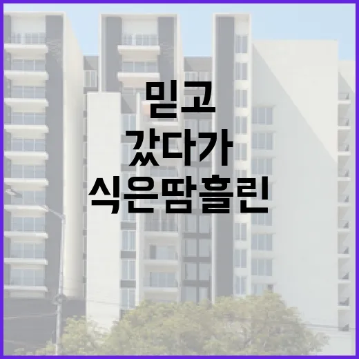 부동산중개 믿고 갔다가 입찰장에서 식은땀 흘린 이야기 - 요약