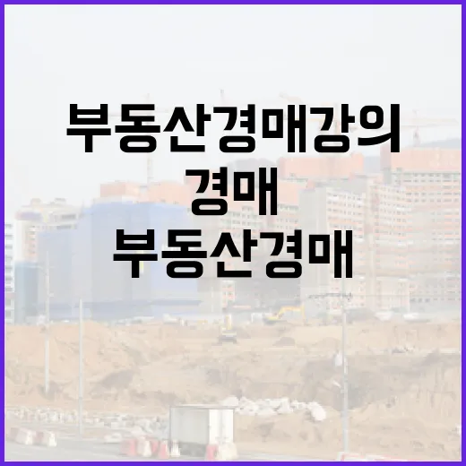 부동산경매강의만 7번 들은 분과 입찰장에 같이 가봤더니 - 요약