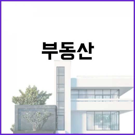 부동산컨설팅 받아봤더니, 초보가 돈 내기 전에 꼭 봐야 할 진짜 이야기 - 요약