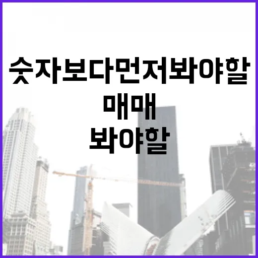 상가매매 직접 뛰어보니, 숫자보다 먼저 봐야 할 것들 - 요약