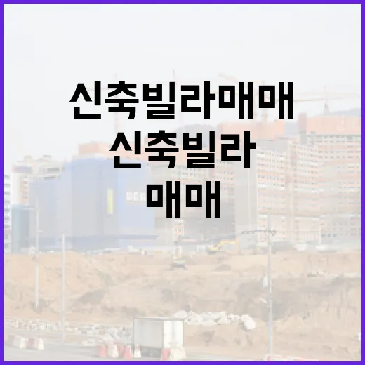신축빌라매매, 현장 10년 뛰며 싸다고 들어갔다가 배운 진짜 이야기 - 요약