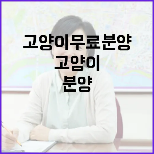 고양이무료분양 직접 알아봤더니, 공짜보다 무서운 게 따로 있더라 - 요약