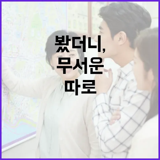 시골집매매 직접 따라가 봤더니, 싼 집보다 무서운 게 따로 있더라 - 요약