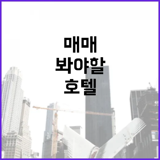 호텔매매 물건 직접 검토해봤더니, 숫자보다 먼저 봐야 할 게 있었습니다 - 요약