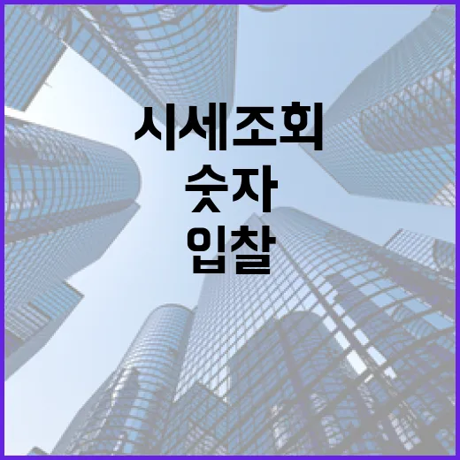 아파트시세조회 직접 해봤더니, 숫자 하나 믿고 입찰하면 생기는 일 - 요약