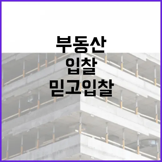 부동산어플만 믿고 입찰했다가 현장에서 식은땀 난 이야기 - 요약