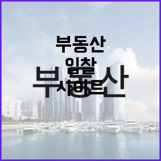 부동산사이트만 믿고 입찰했다가 현장에서 식은땀 난 이야기 - 요약