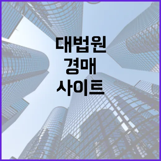 대법원경매사이트만 믿고 입찰했다가 현장에서 다시 확인하게 된 이야기 - 요약