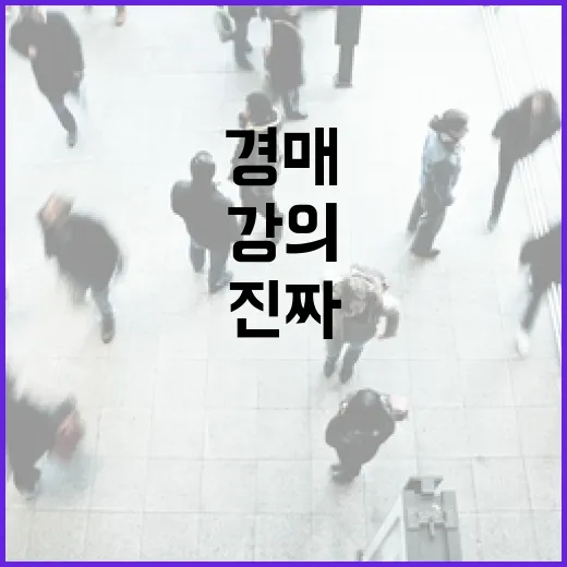 경매강의 7번 들어보고 입찰장 갔더니 진짜 필요한 건 따로 있었습니다 - 요약