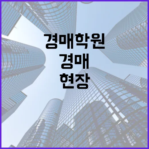 경매학원 3곳을 직접 들어보고 현장에서 걸러낸 진짜 이야기 - 요약