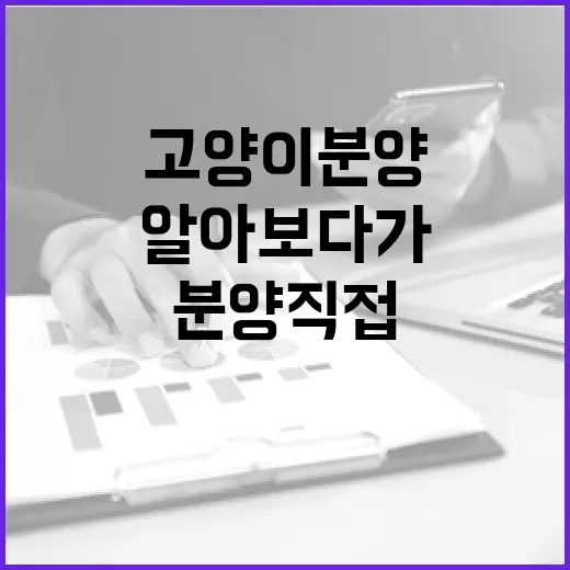 고양이분양 직접 알아보다가 경매 권리분석보다 더 꼼꼼히 따져본 이야기 - 요약