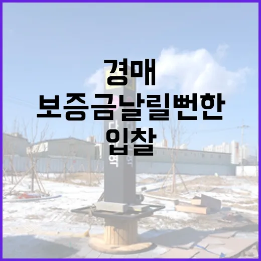 경매사이트만 믿고 입찰했다가 보증금 날릴 뻔한 진짜 이야기 - 요약