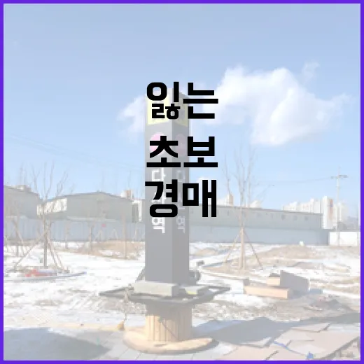경매 입찰장에 10년 서봤더니 초보가 돈 잃는 패턴은 비슷했습니다 - 요약