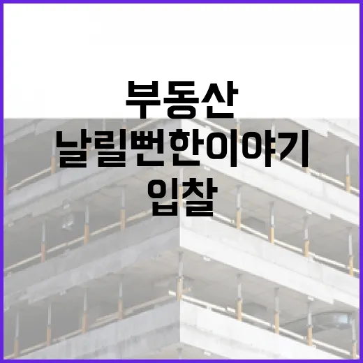 부동산계산기 믿고 입찰했다가 보증금 날릴 뻔한 이야기 - 요약