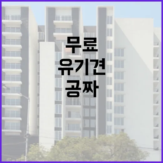 유기견무료분양 직접 알아봤더니, 공짜라는 말보다 먼저 봐야 할 것들 - 요약