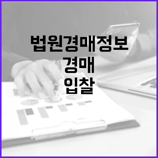 법원경매정보만 믿고 입찰했다가 현장에서 식은땀 흘린 이야기 - 요약