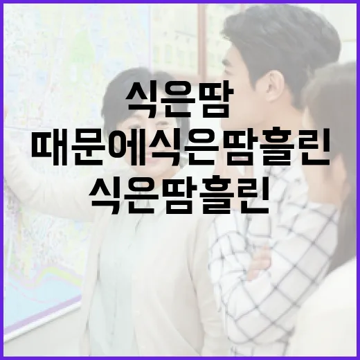 낙찰받고 등기부 한 줄 때문에 식은땀 흘린 이야기 - 요약