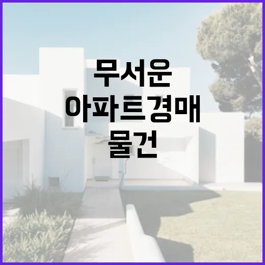 아파트 경매 물건 직접 따라가봤더니 숫자보다 무서운 건 따로 있었습니다 - 요약