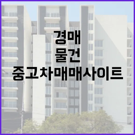 중고차매매사이트 뒤져봤더니, 경매 물건 보는 습관이 그대로 통했습니다 - 요약
