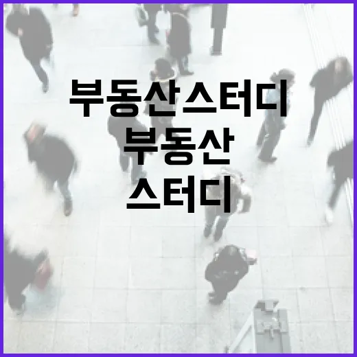 부동산스터디 6개월 따라가봤더니, 입찰장에서 진짜 달라진 것들 - 요약