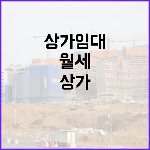 상가임대 직접 굴려보니 월세보다 먼저 보이는 것들 - 요약