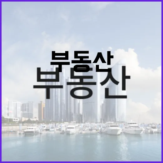 KB부동산으로 시세 찍어보고 입찰가 낮춘 날의 진짜 이야기 - 요약
