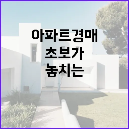 아파트경매 입찰장에 10년 다녀보니 초보가 자주 놓치는 진짜 비용 - 요약