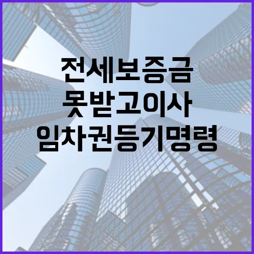 전세보증금 못 받고 이사한 사람들, 임차권등기명령부터 챙긴 진짜 이야기 - 요약