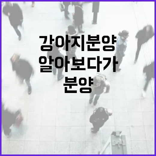 강아지분양 직접 알아보다가 경매 권리분석보다 더 꼼꼼해진 이야기 - 요약