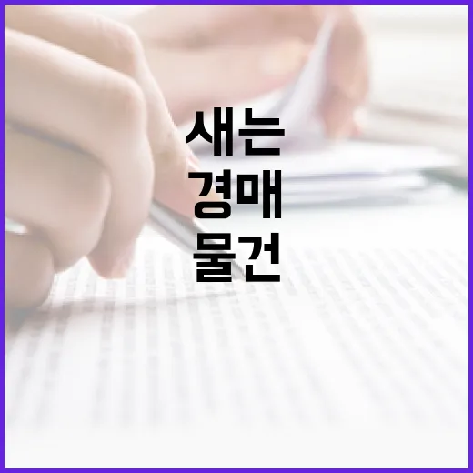 대법원경매로 첫 물건 찍어봤더니, 입찰장 가기 전부터 돈 새는 구멍이 보였습니다 - 요약