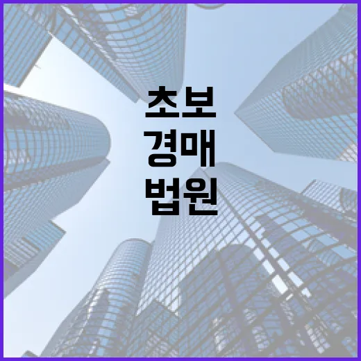 법원경매 입찰장 10년 다녀보니 초보가 돈 잃는 패턴은 거의 비슷했습니다 - 요약