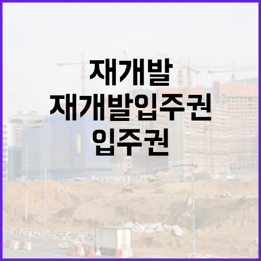 재개발입주권 물건 직접 쫓아가 봤더니, 싸 보이는 데는 다 이유가 있었습니다 - 요약