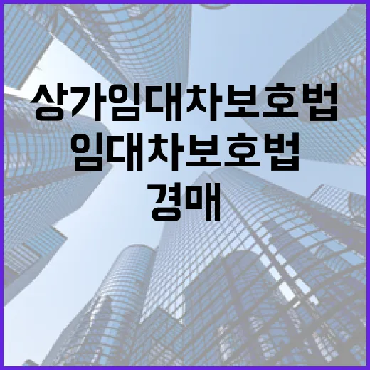 상가임대차보호법만 믿고 상가 경매 들어갔다가 식은땀 난 이야기 - 요약