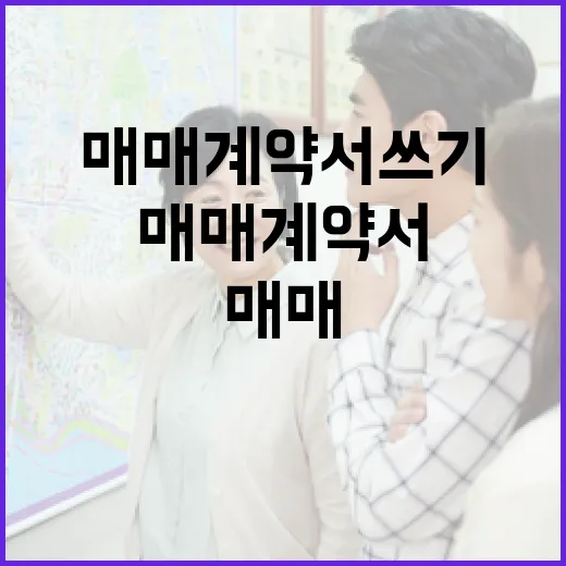 빌딩매매 계약서 쓰기 전, 현장에서 직접 뒤집어본 진짜 이야기 - 요약