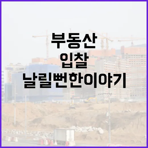 부동산시세만 믿고 입찰했다가 보증금 날릴 뻔한 이야기 - 요약