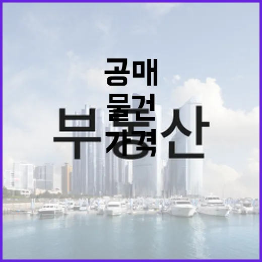 공매 물건 직접 따라가 봤더니, 싸 보이는 가격 뒤에 숨어 있던 것들 - 요약