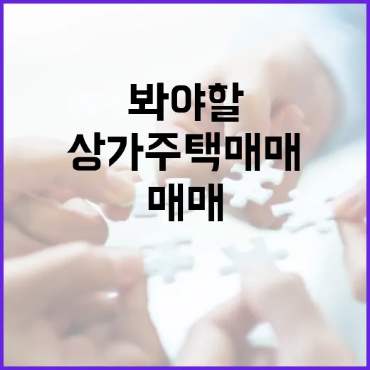 상가주택매매 물건 직접 따라가 봤더니, 숫자보다 먼저 봐야 할 게 있더라 - 요약