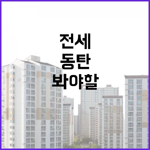 동탄전세 물건 몇 개 직접 훑어봤더니, 숫자보다 먼저 봐야 할 게 있었습니다 - 요약