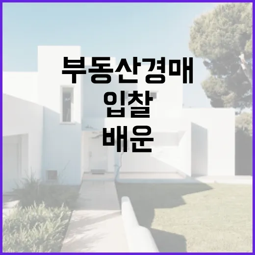 부동산경매사이트만 믿고 입찰했다가 현장에서 다시 배운 이야기 - 요약