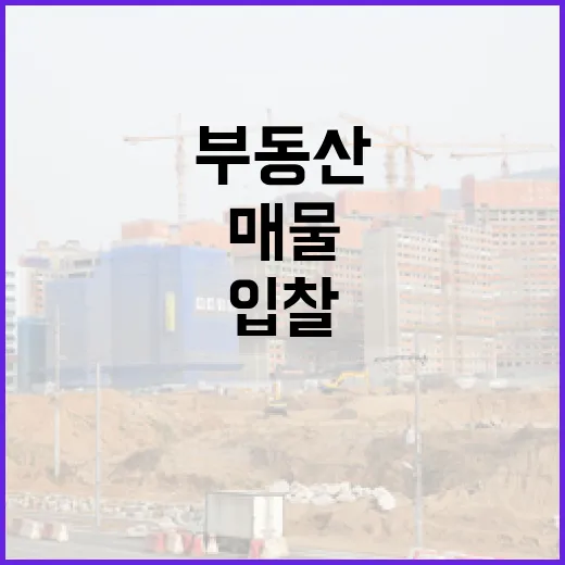 부동산매물사이트만 믿고 입찰했다가 현장에서 식은땀 난 이야기 - 요약