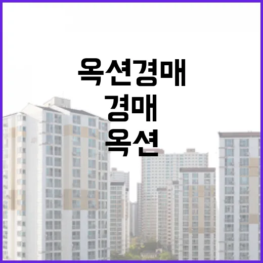 옥션경매 물건 직접 따라가 봤더니, 싼 가격보다 먼저 보인 것들 - 요약