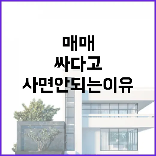 임야매매 물건 직접 따라가 봤더니, 싸다고 바로 사면 안 되는 이유 - 요약