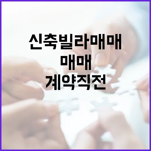 신축빌라매매 계약 직전까지 갔다가 발 뺀 이야기 - 요약