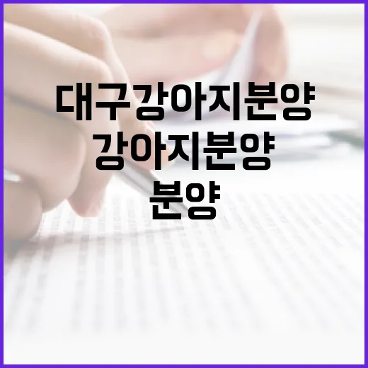 대구강아지분양, 지인 따라 현장 가봤더니 보인 진짜 체크포인트 - 요약