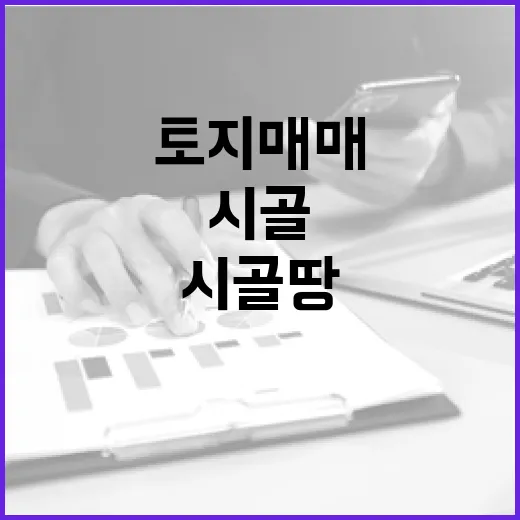 시골 땅 싸다고 토지매매 계약했다가 현장에서 배운 진짜 이야기 - 요약