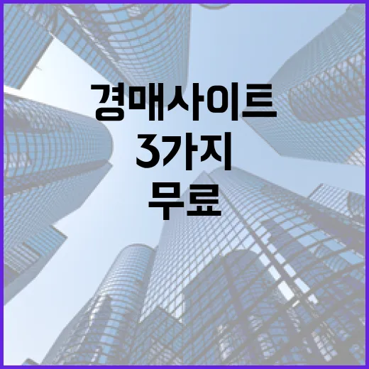 무료경매사이트만 믿고 입찰장 갔다가 놓칠 뻔한 3가지 - 요약