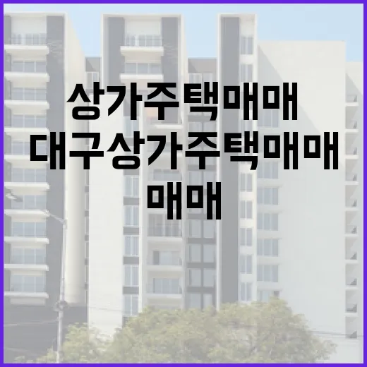 대구 상가주택 매매 물건을 직접 걸러봤더니, 숫자보다 먼저 보이는 것들 - 요약